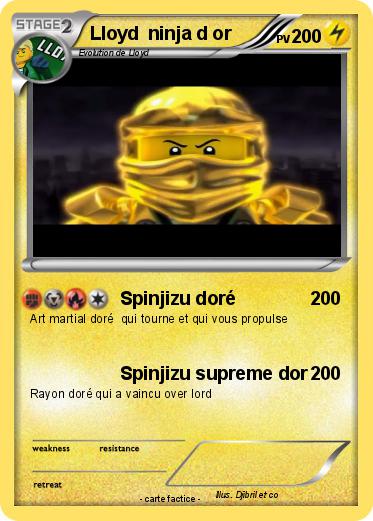 Pokemon Lloyd  ninja d or