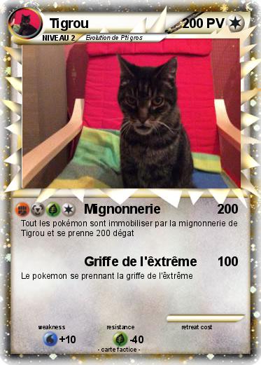 Pokemon Tigrou