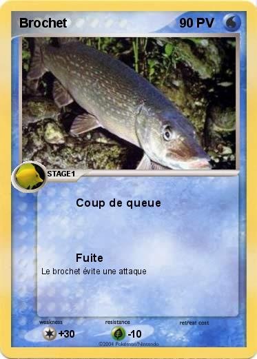 Pokemon Brochet