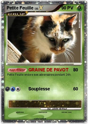 Pokemon Petite Feuille