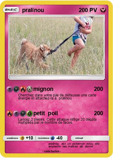Pokemon pralinou