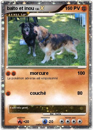 Pokemon balto et inou