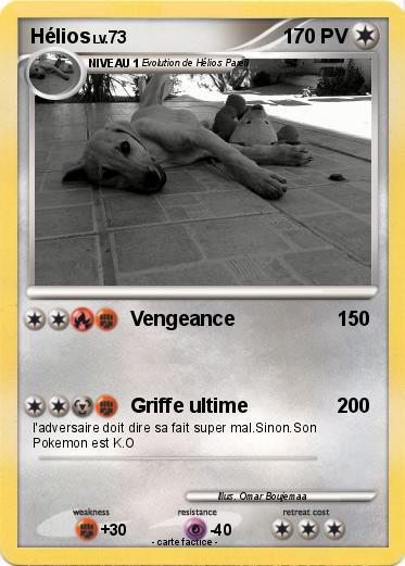 Pokemon Hélios