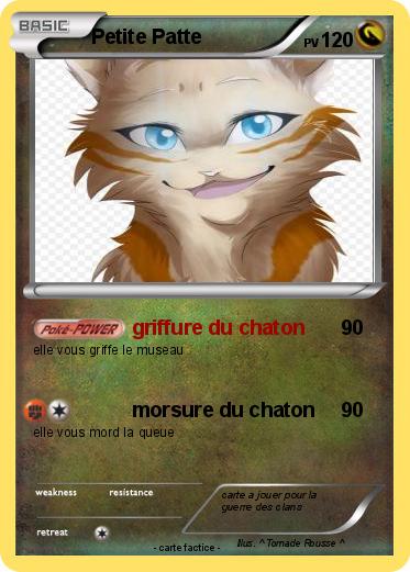 Pokemon Petite Patte