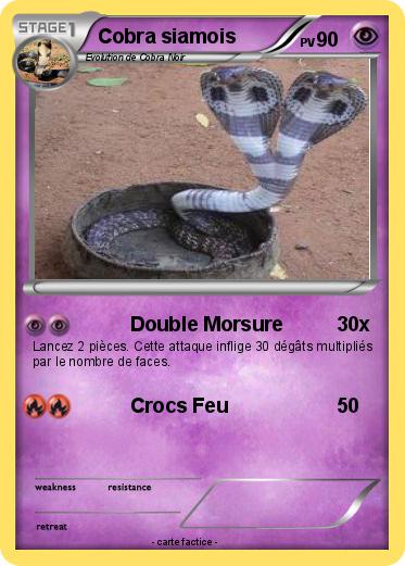 Pokemon Cobra siamois