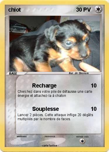 Pokemon chiot