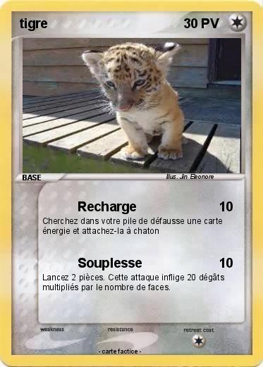 Pokemon tigre