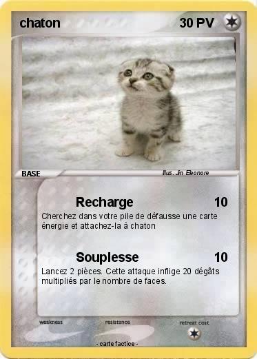 Pokemon chaton