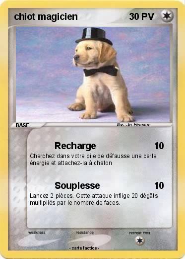 Pokemon chiot magicien