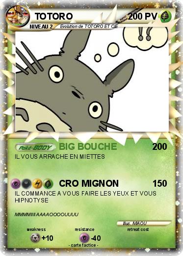 Pokemon TOTORO