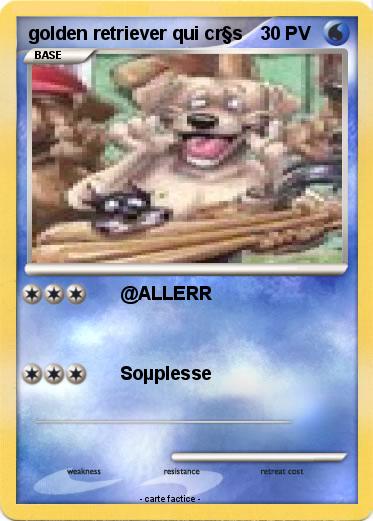 Pokemon golden retriever qui cr§s
