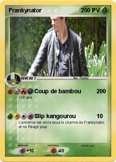 Pokemon Frankynator
