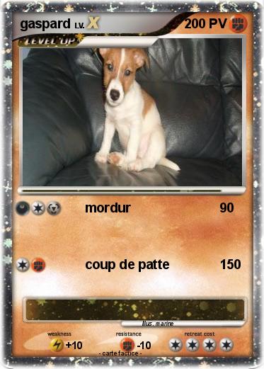 Pokemon gaspard
