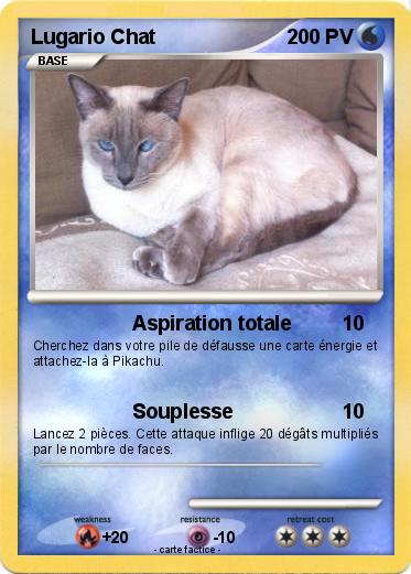 Pokemon Lugario Chat