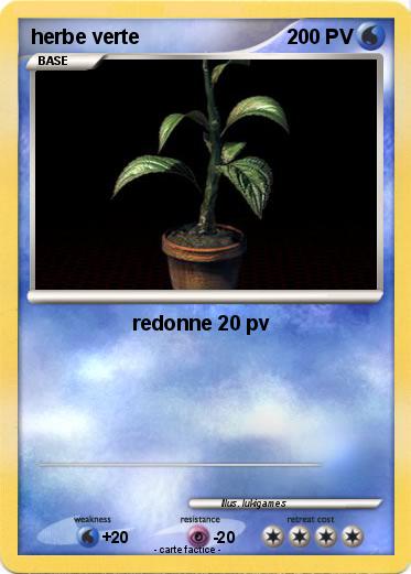Pokemon herbe verte