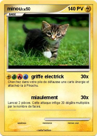Pokemon minou