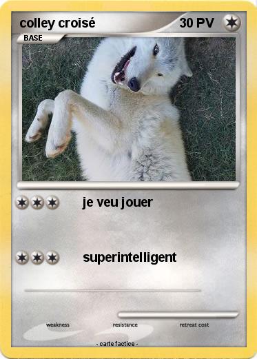 Pokemon colley croisé
