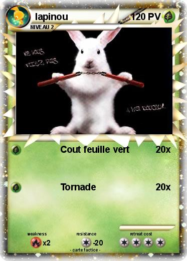 Pokemon lapinou