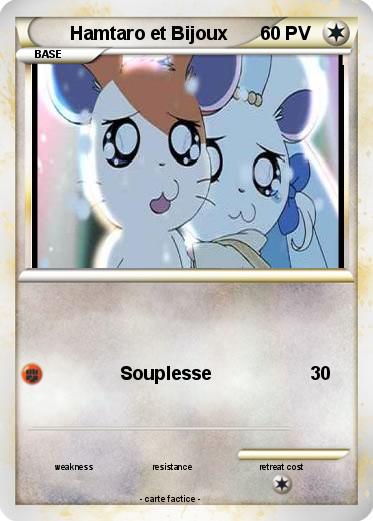 Pokemon Hamtaro et Bijoux