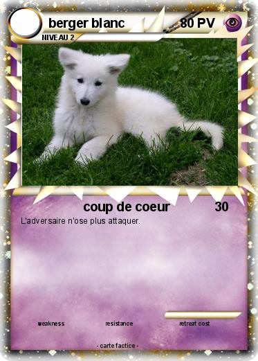 Pokemon berger blanc