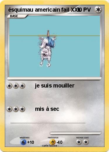 Pokemon ésquimau americain fail XXL