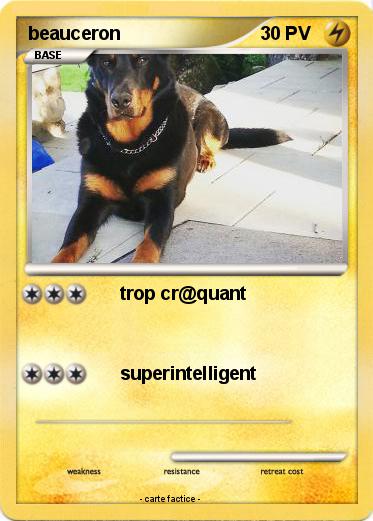 Pokemon beauceron