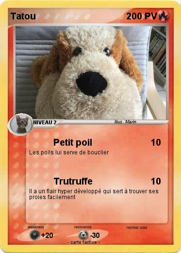 Pokemon Tatou