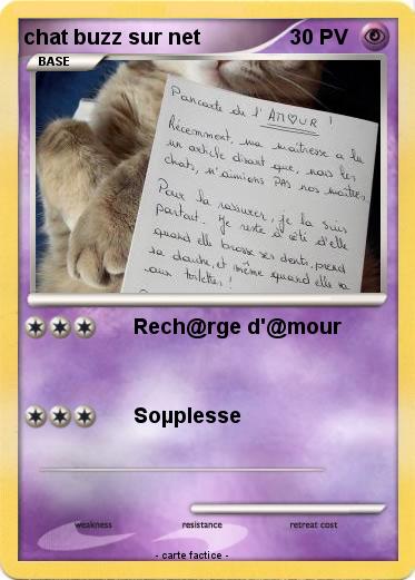 Pokemon chat buzz sur net