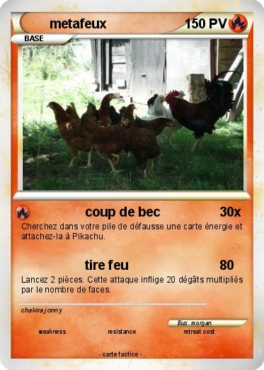 Pokemon metafeux