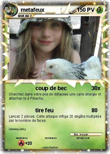 Pokemon metafeux