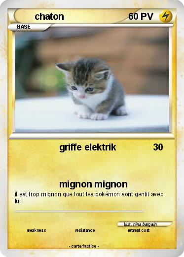 Pokemon chaton