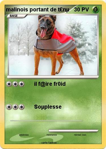 Pokemon malinois portant de t£nµ