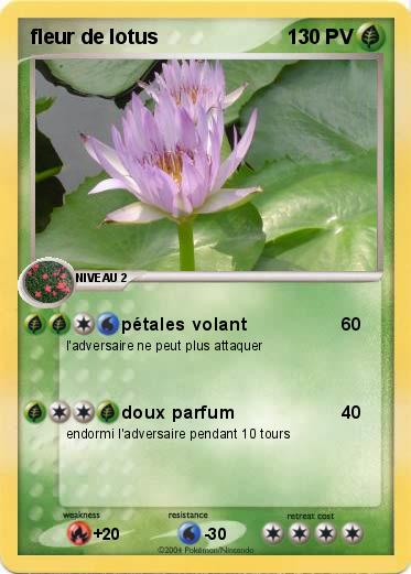 Pokemon fleur de lotus