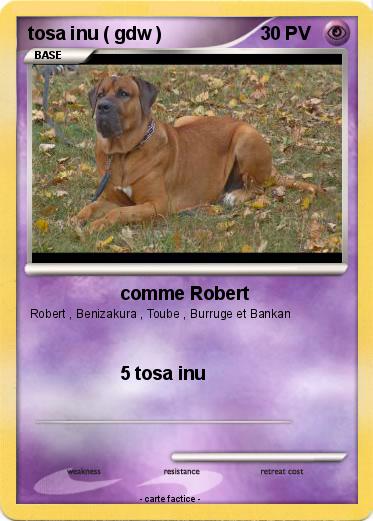 Pokemon tosa inu ( gdw )