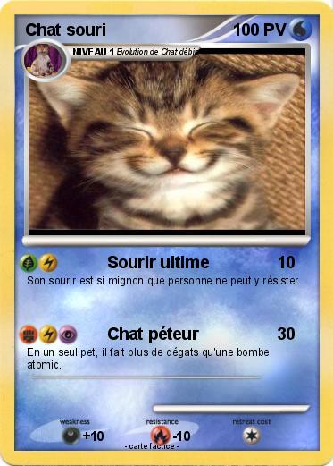 Pokemon Chat souri