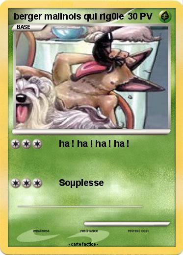 Pokemon berger malinois qui rig0le
