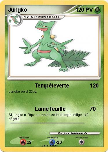 Pokemon Jungko