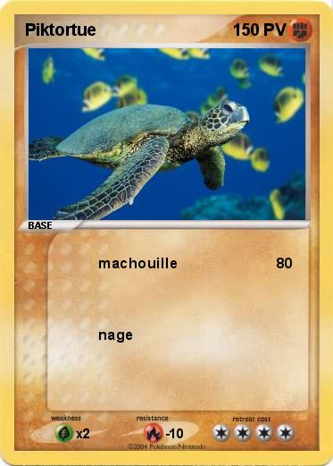 Pokemon Piktortue