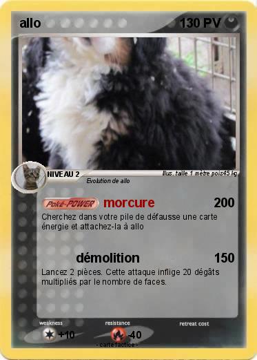 Pokemon allo
