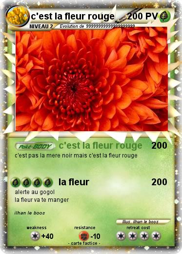 Pokemon c'est la fleur rouge