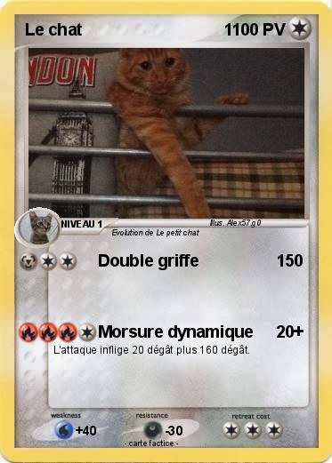 Pokemon Le chat                               1