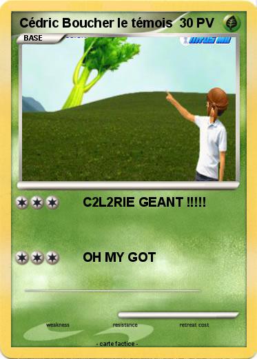 Pokemon Cédric Boucher le témois