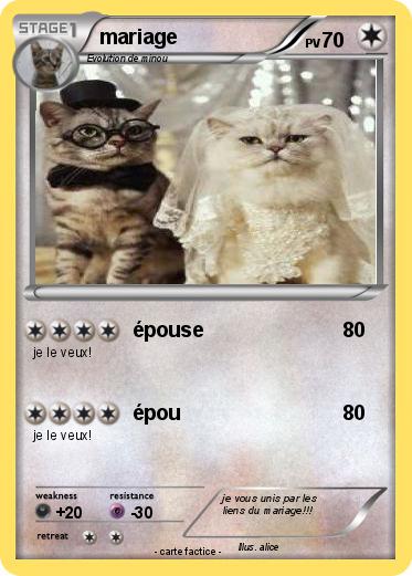 Pokemon mariage
