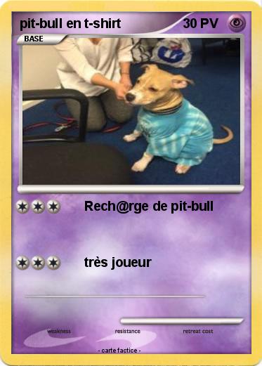 Pokemon pit-bull en t-shirt