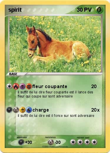 Pokemon spirit