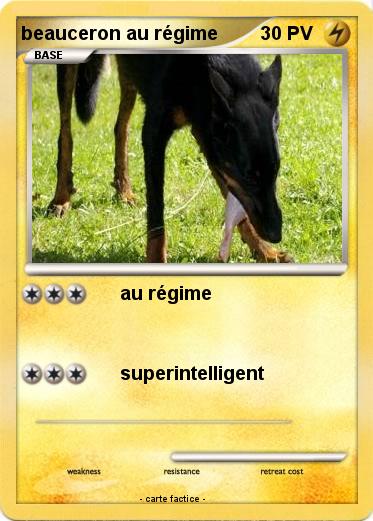 Pokemon beauceron au régime