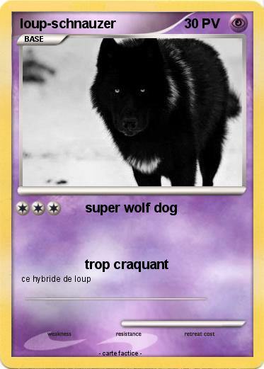 Pokemon loup-schnauzer