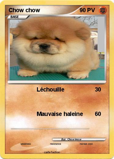 Pokemon Chow chow