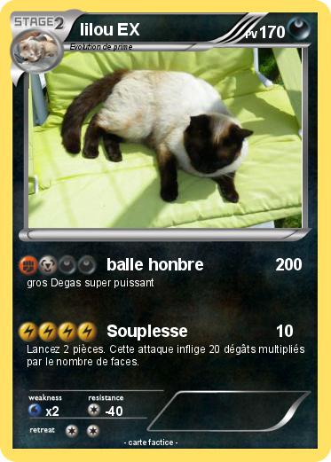Pokemon lilou EX