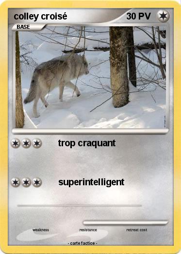 Pokemon colley croisé